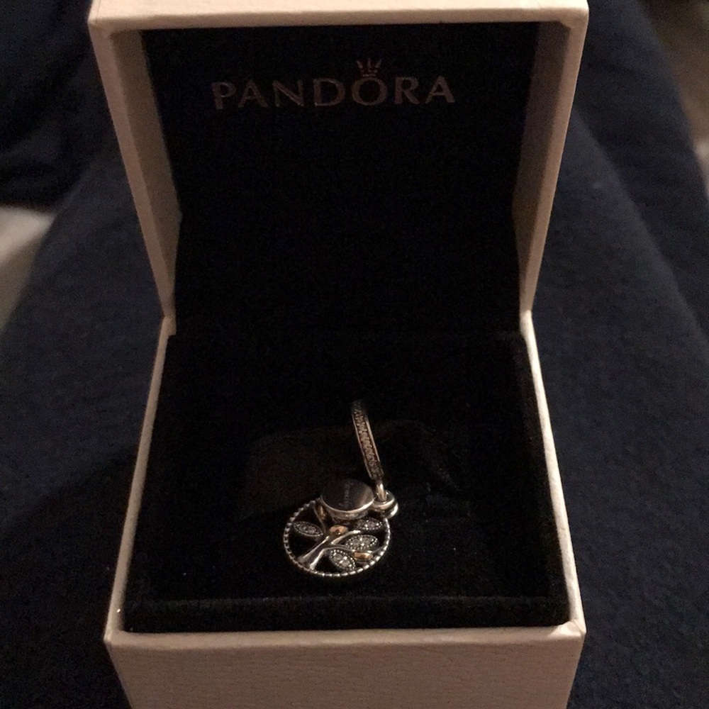 Pandora Family Charm